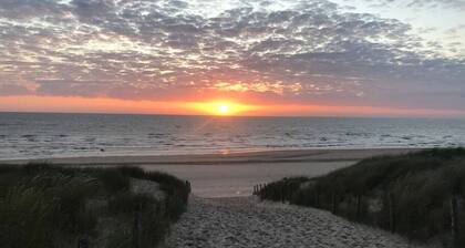 The Bird House near the beach