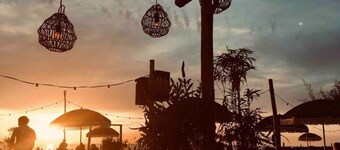 The Bird House near  the beach