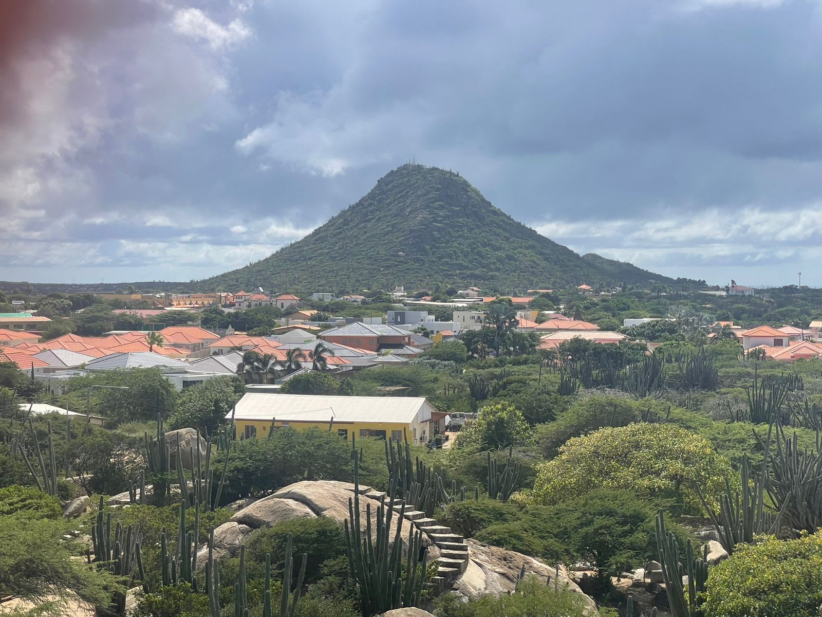 A mountain with a red-roofed town in the foreground and cacti in the foreground.