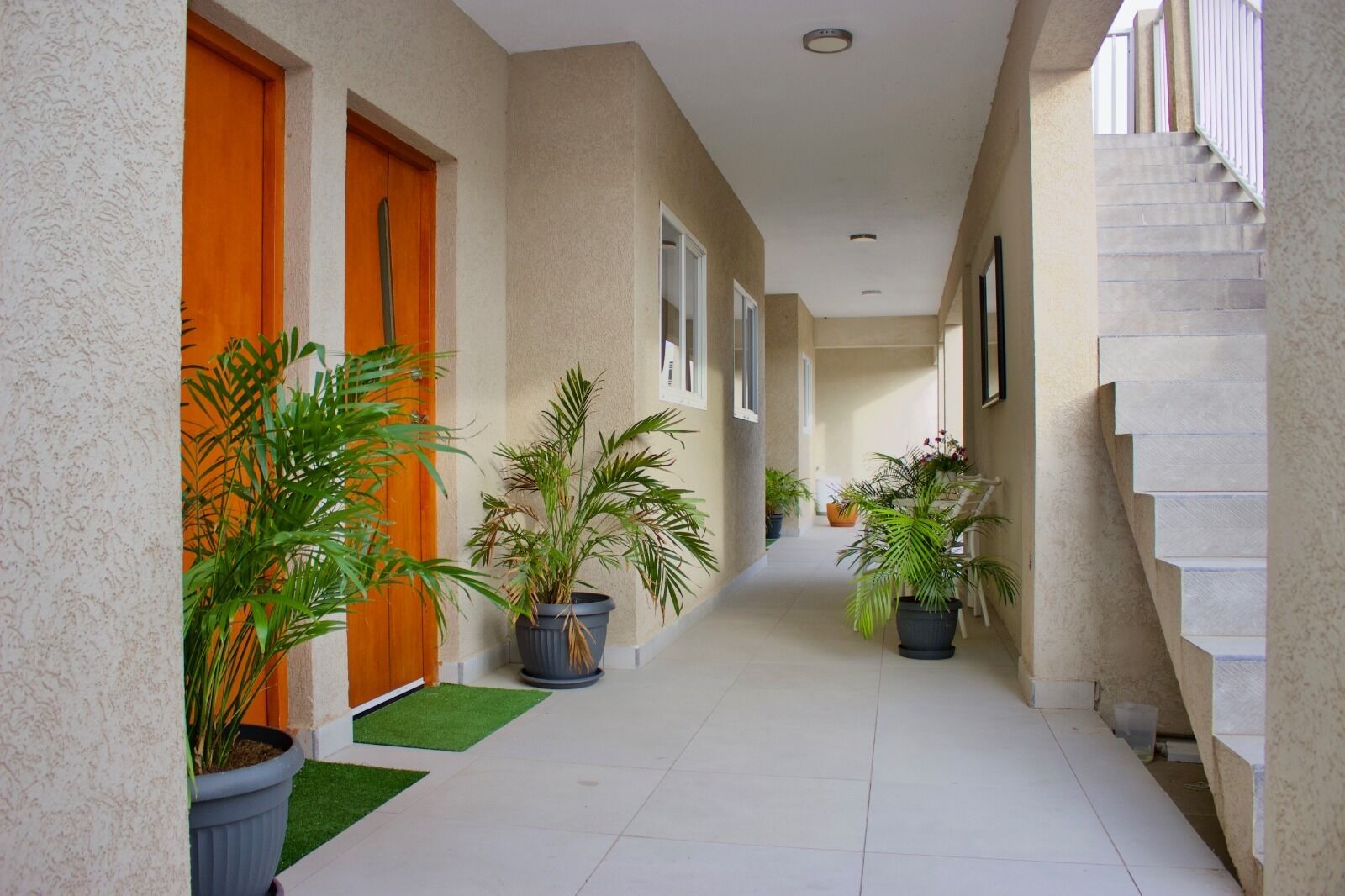 Un pasillo limpio y moderno con plantas en macetas, una escalera y una puerta de madera.
