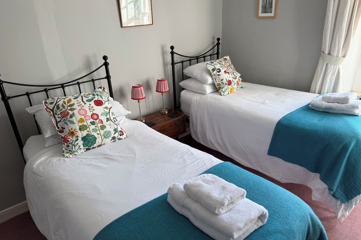 A bedroom with two single beds, each with a floral pillow, a bedside table with a lamp, and a blue blanket on one bed.