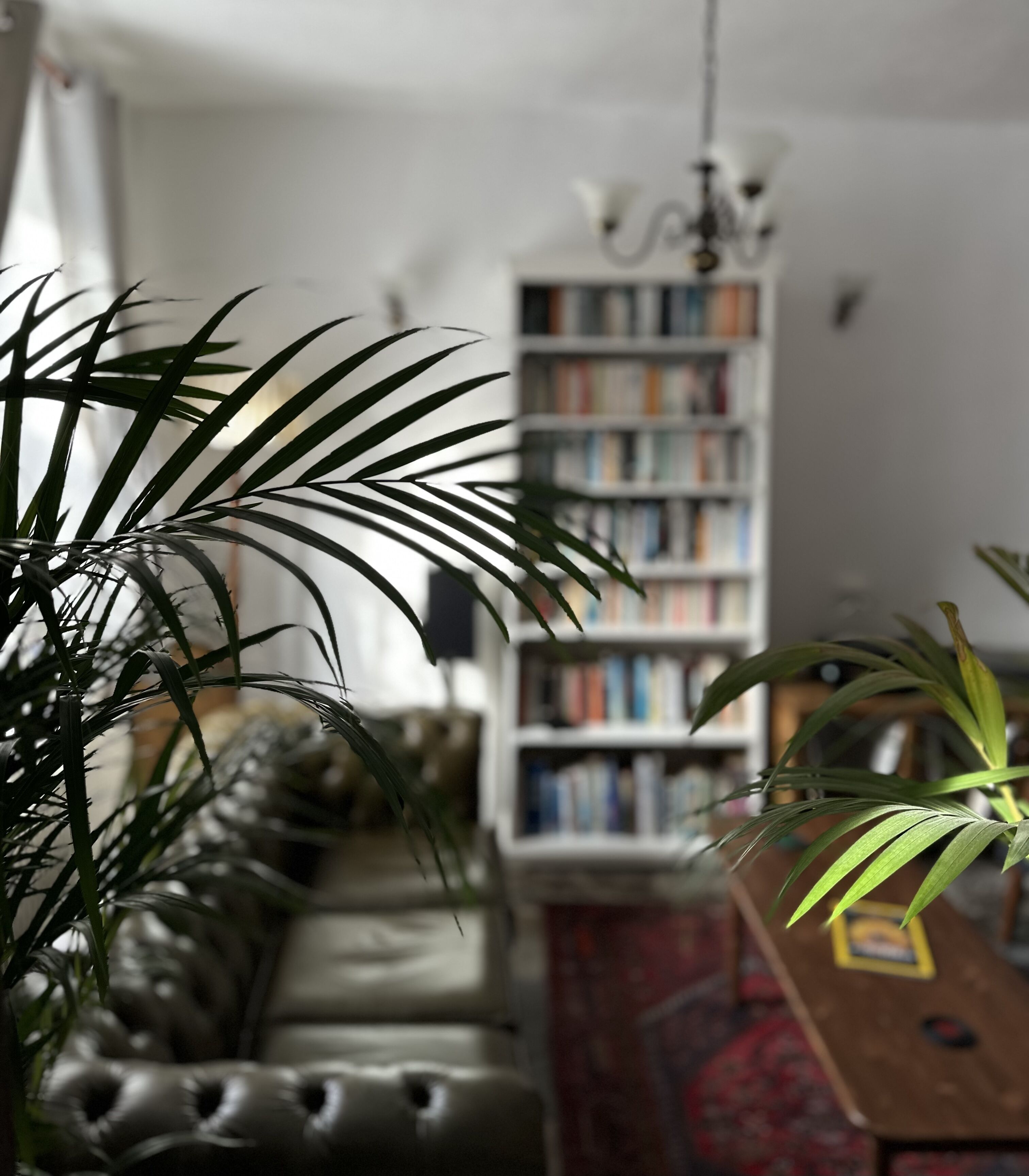 18–tuumainen taulutelevisio, jossa digitaalikanavat