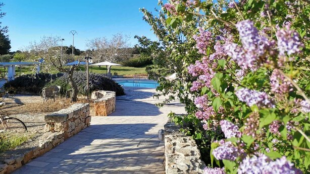 A pathway leading to a swimming pool with a stone wall on one side and a garden with purple flowers on the other. - TRULLO SUITE 'THE QUEEN' in Itria Valley with swimming pool (Martina Franca)