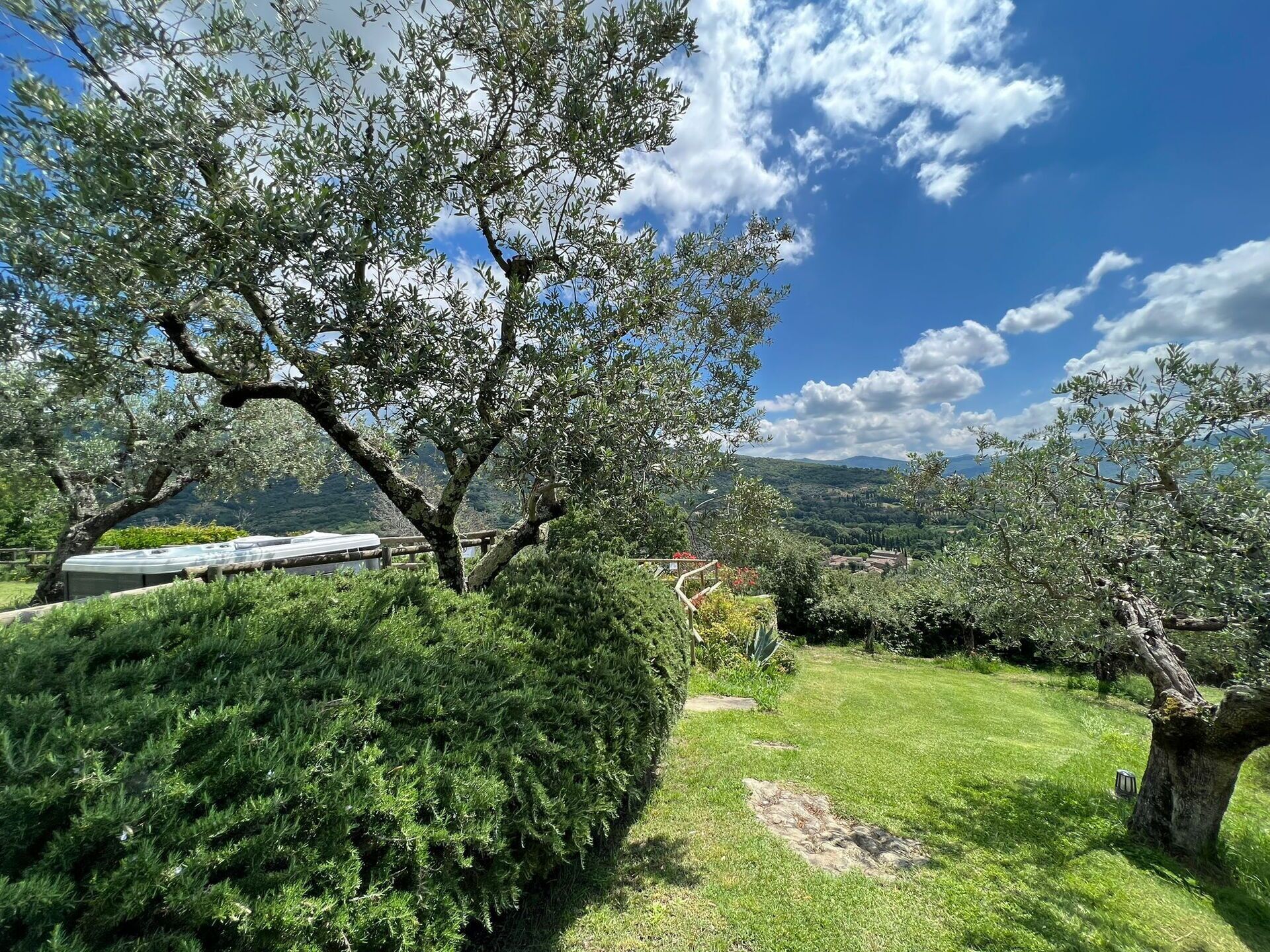 A lush garden with a large tree, a grassy lawn, and a view of distant hills.