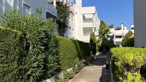 A narrow pathway flanked by neatly trimmed hedges and white buildings with balconies. - ISholidays Acron Puerto Pollensa (Port de Pollença)