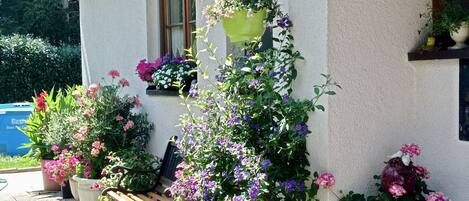 Et hus med hvide facader, en træbænk og diverse krukker med blomster og planter.