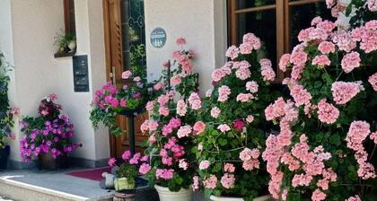 Ferienwohnung Blumenoase - Gemütliche Ferienwohnung Zwischen Allgäu und Bodensee