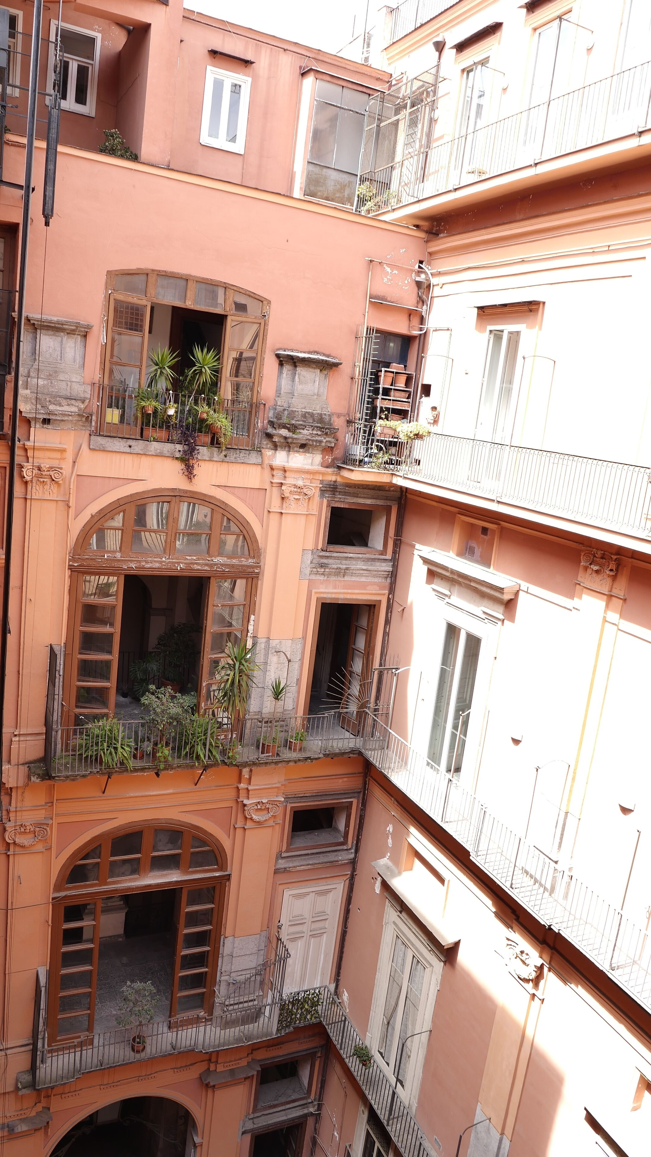 Photo - Chocolate's Home