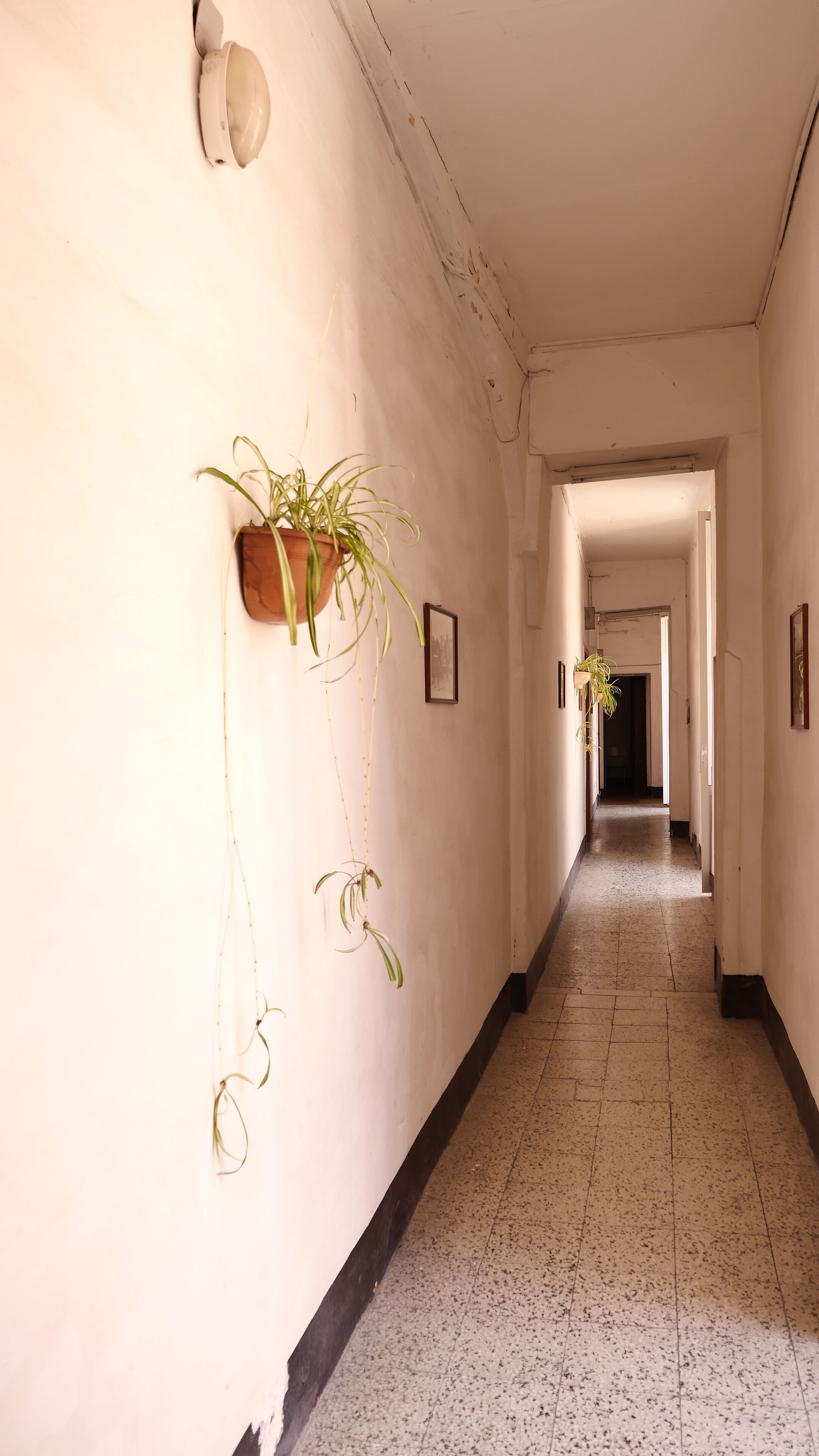 Photo - Chocolate's Home