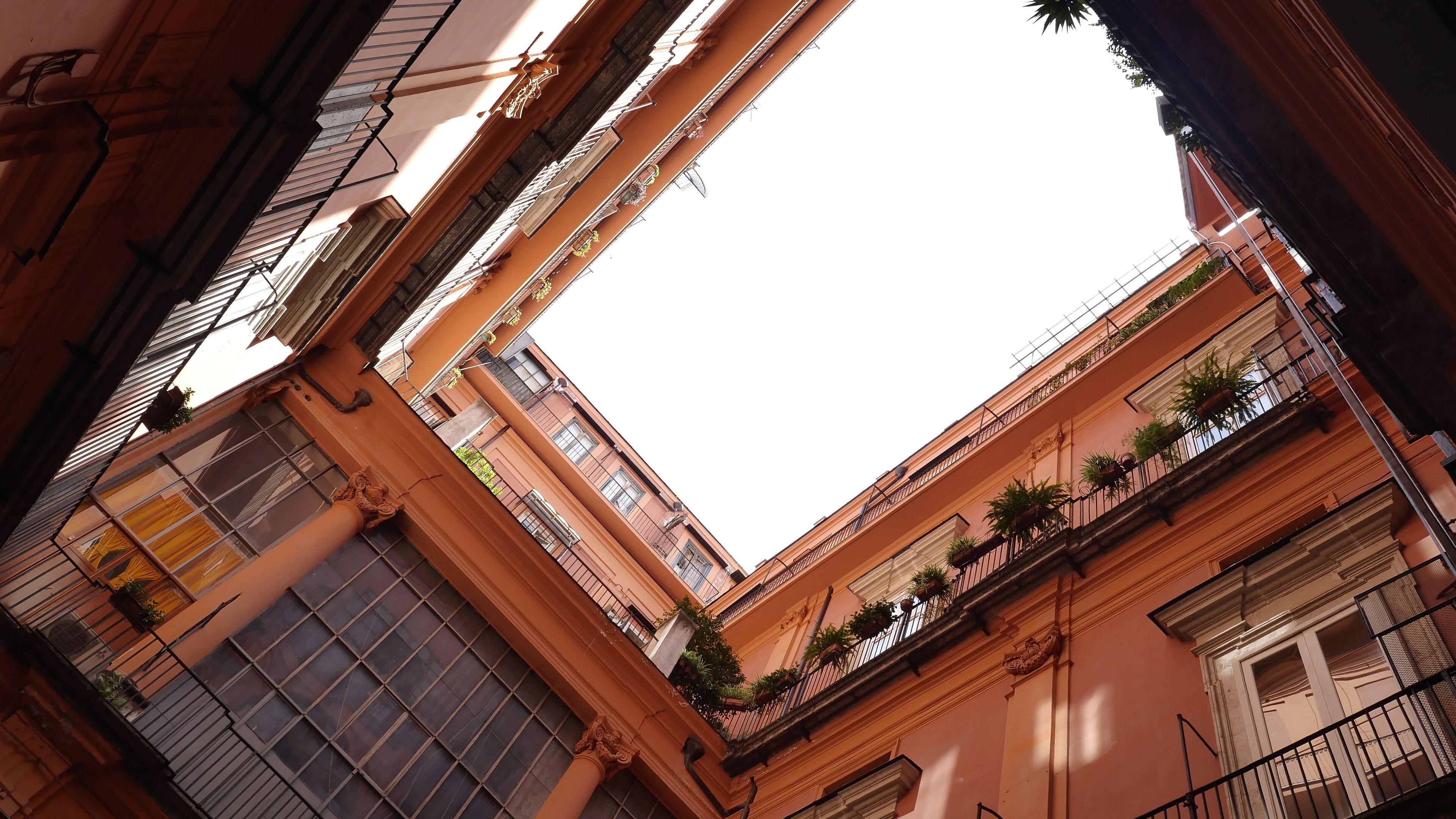 Photo - Chocolate's Home