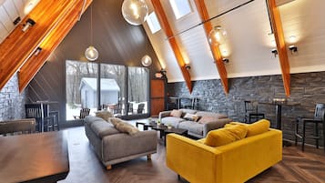 Televisión, chimenea y videoteca