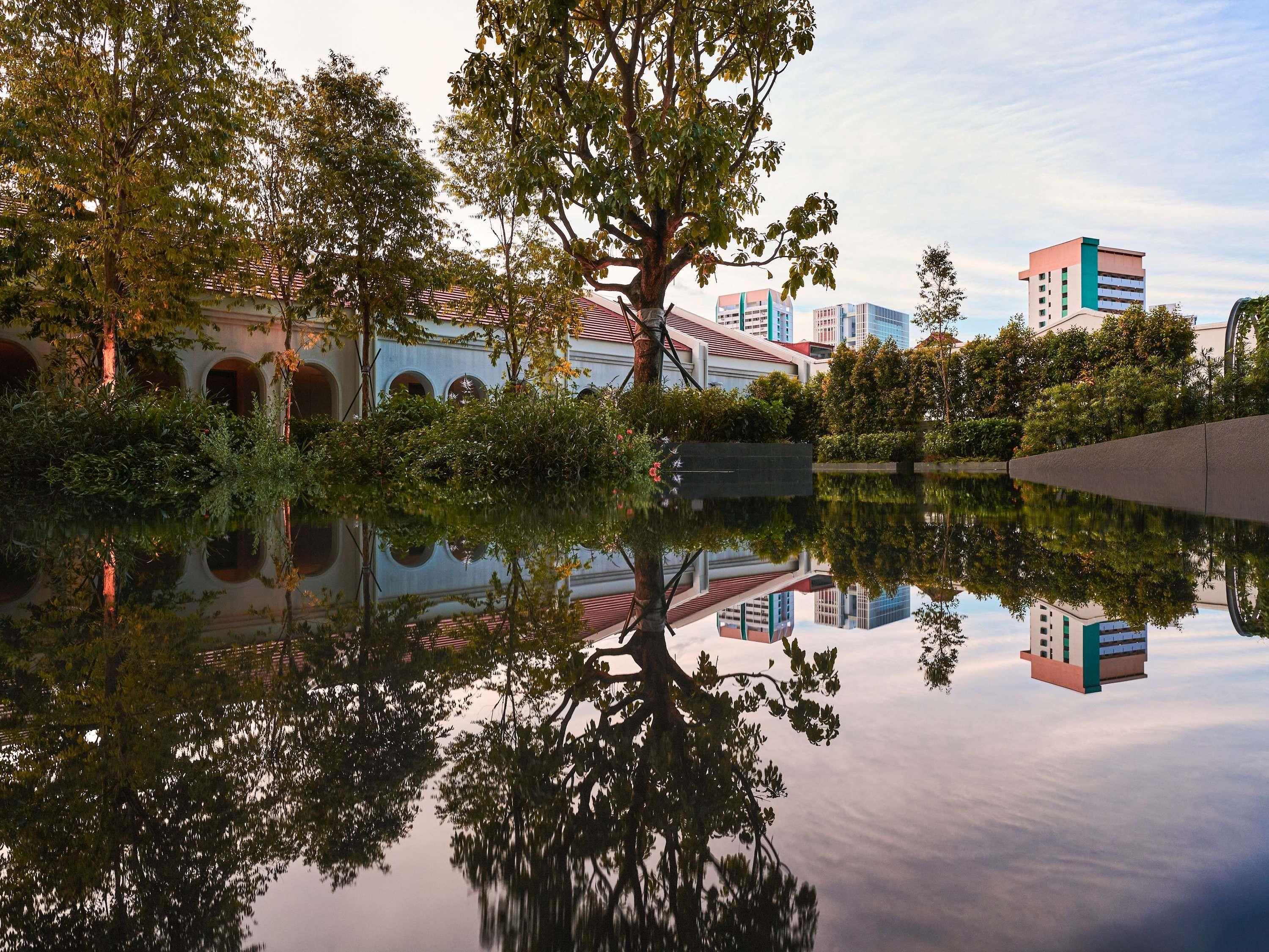 Un cuerpo de agua tranquila que refleja edificios y árboles, rodeado de vegetación.