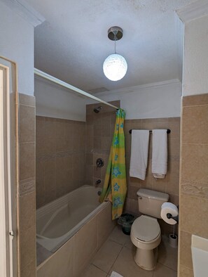 Douche, sèche-cheveux, serviettes fournies, savon