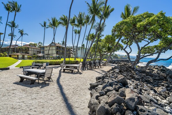 Un resort frente al mar con mesas al aire libre, palmeras y vistas al océano.