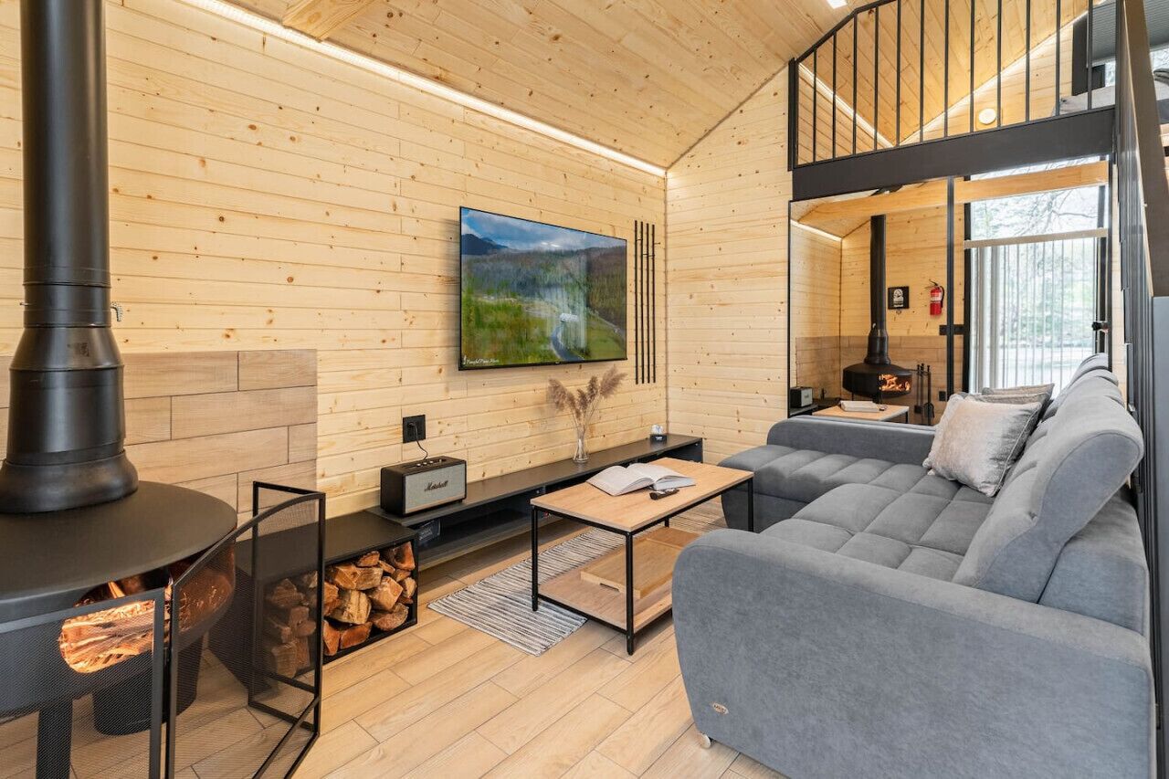 Smart TV, fireplace, books, music library