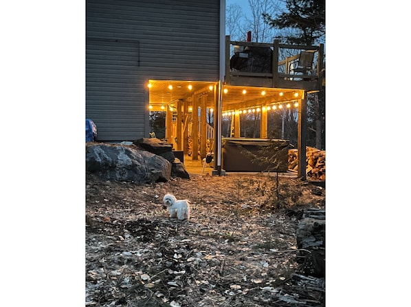 Property grounds - Cottage on Lake Jo near Mactier. (MacTier)