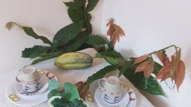 A table with a white tablecloth, two teacups with saucers, and two green melons. - 1 Bedroom with 1 twin bed and full bathroom.. (Scarborough)
