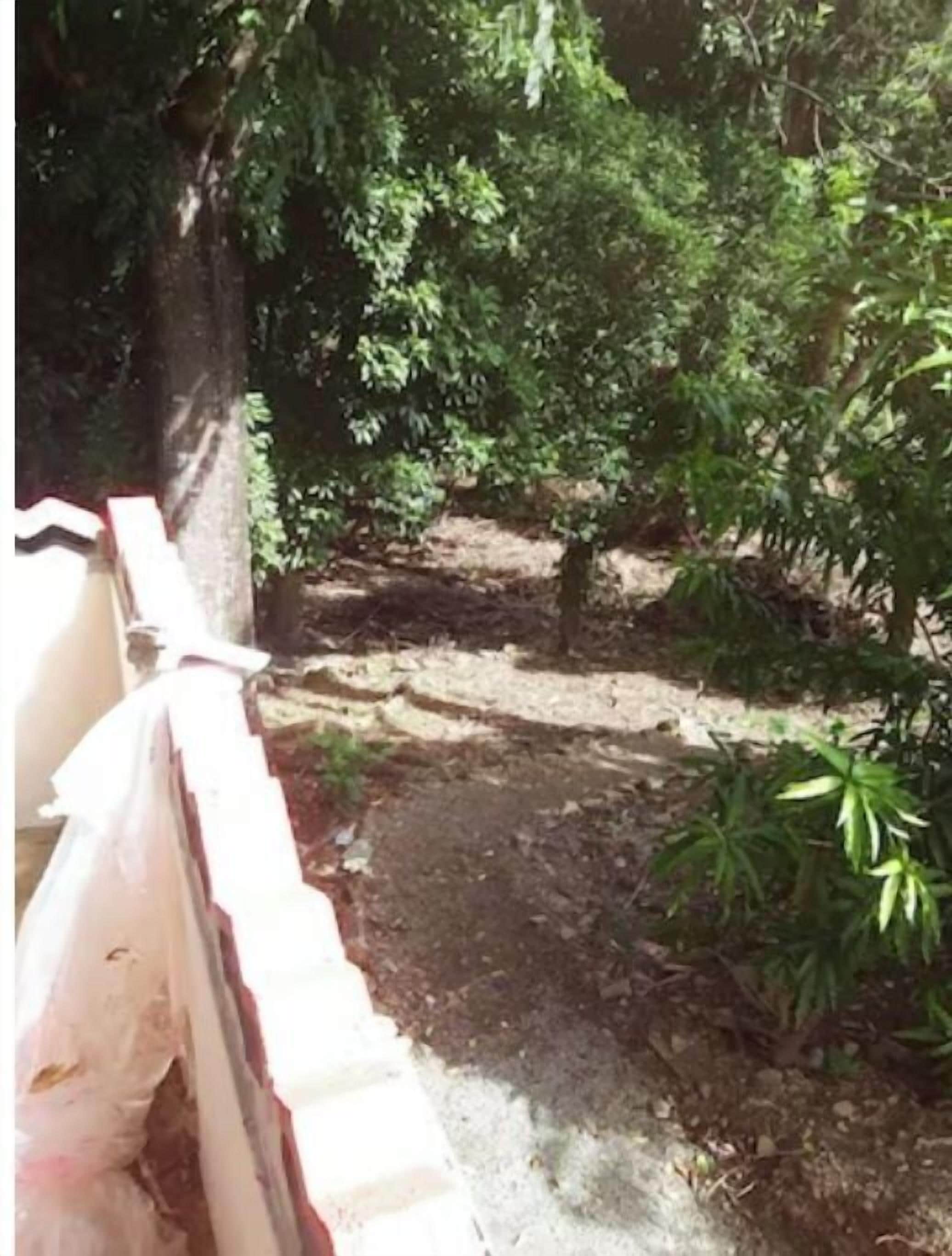 Terrain de l’hébergement 