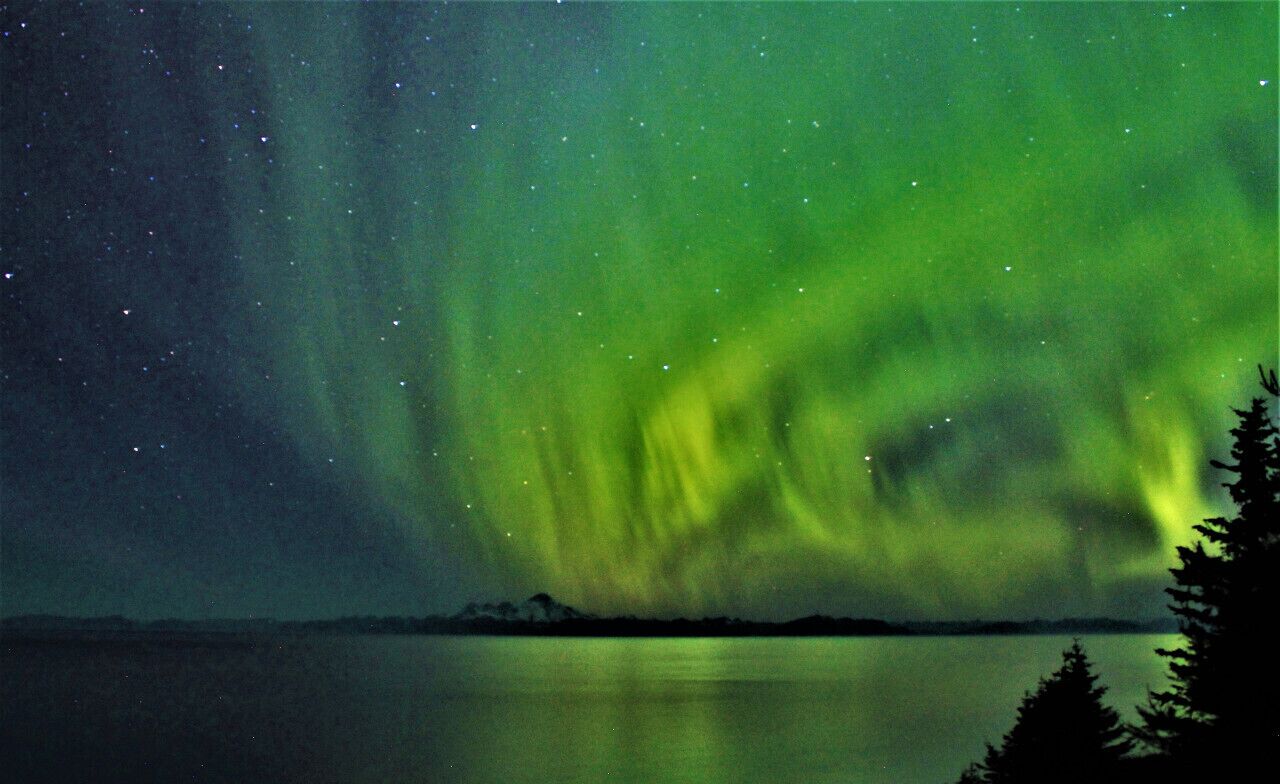 A night sky with the aurora borealis over a calm body of water, with silhouettes of trees in the foreground.