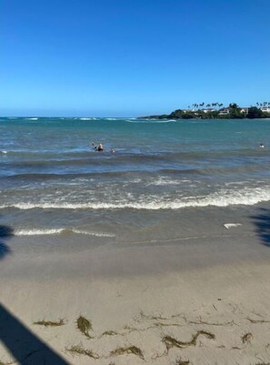 Playa
