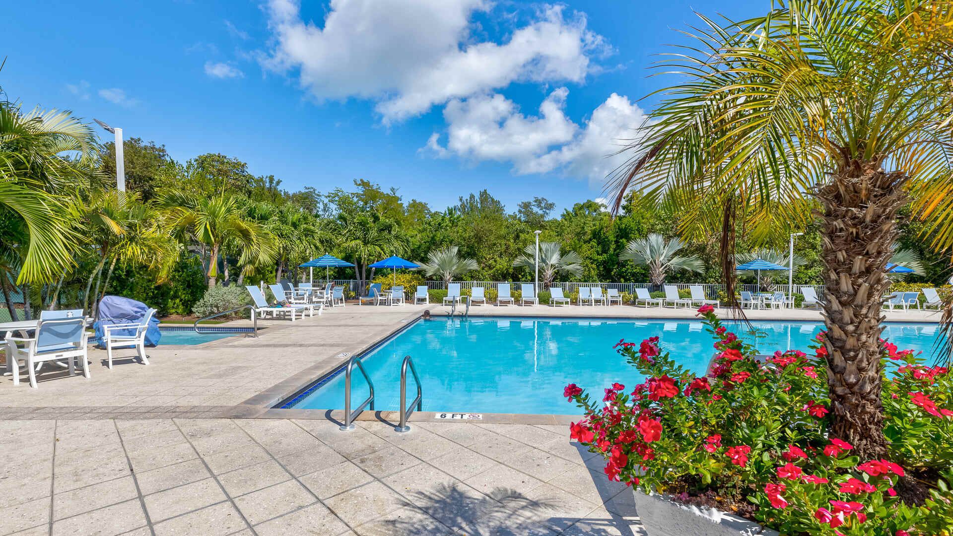 A pool area with lounge chairs, a swimming pool, and surrounding greenery.