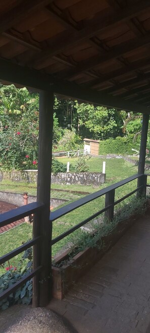 Garden view