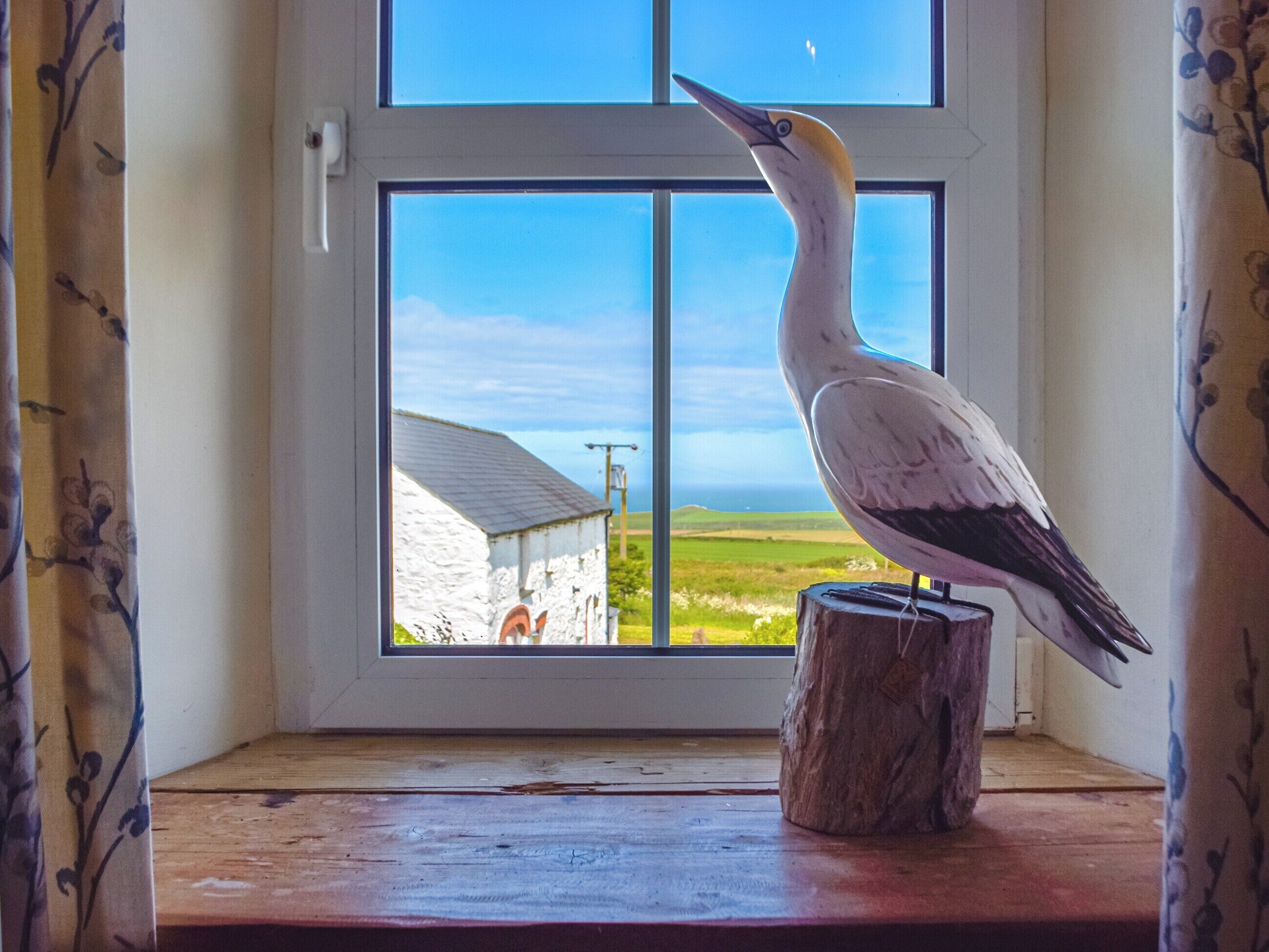 A bird perched on a wooden post by a window with a view of a building and landscape.