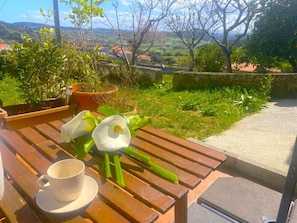 Terraza o patio