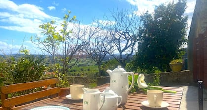 ENTORNO RURAL CASITA EL TRISQUEL 18002