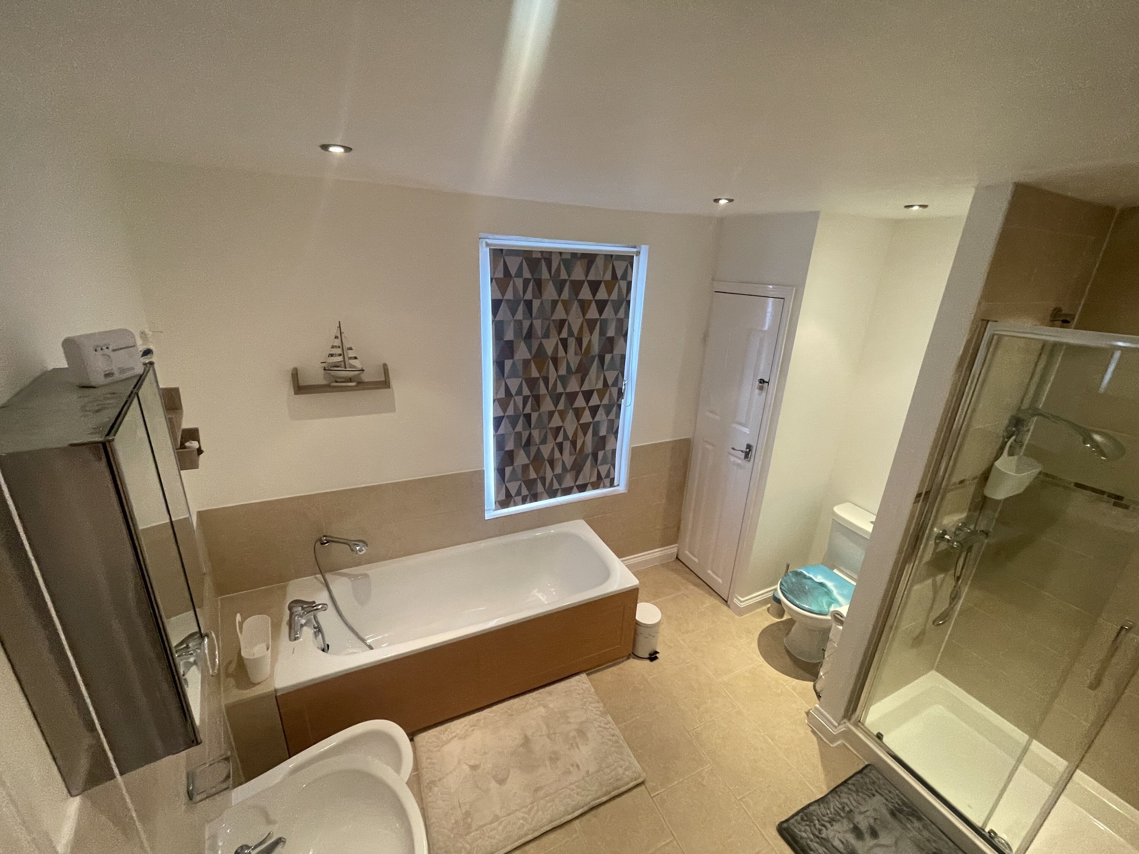 Shower, hair dryer, bidet, towels