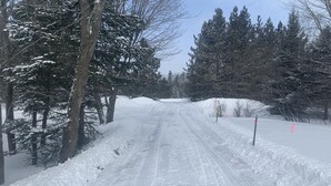 A snow-covered road flanked by trees. - Lake front Rustic Cabin in the UP, Snowmobile-ATV trails, Falls, Mackinaw Island (Trout Lake)