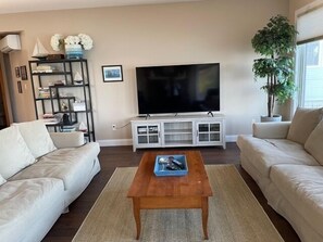 Televisión, chimenea, libros y servicios de streaming