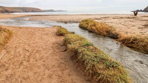 A coastal landscape with a sandy beach, a small stream, and distant hills. - The Queen Bee (Pembroke)
