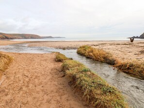Beach nearby - The Queen Bee (Pembroke)