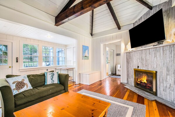 TV, fireplace, DVD player, books