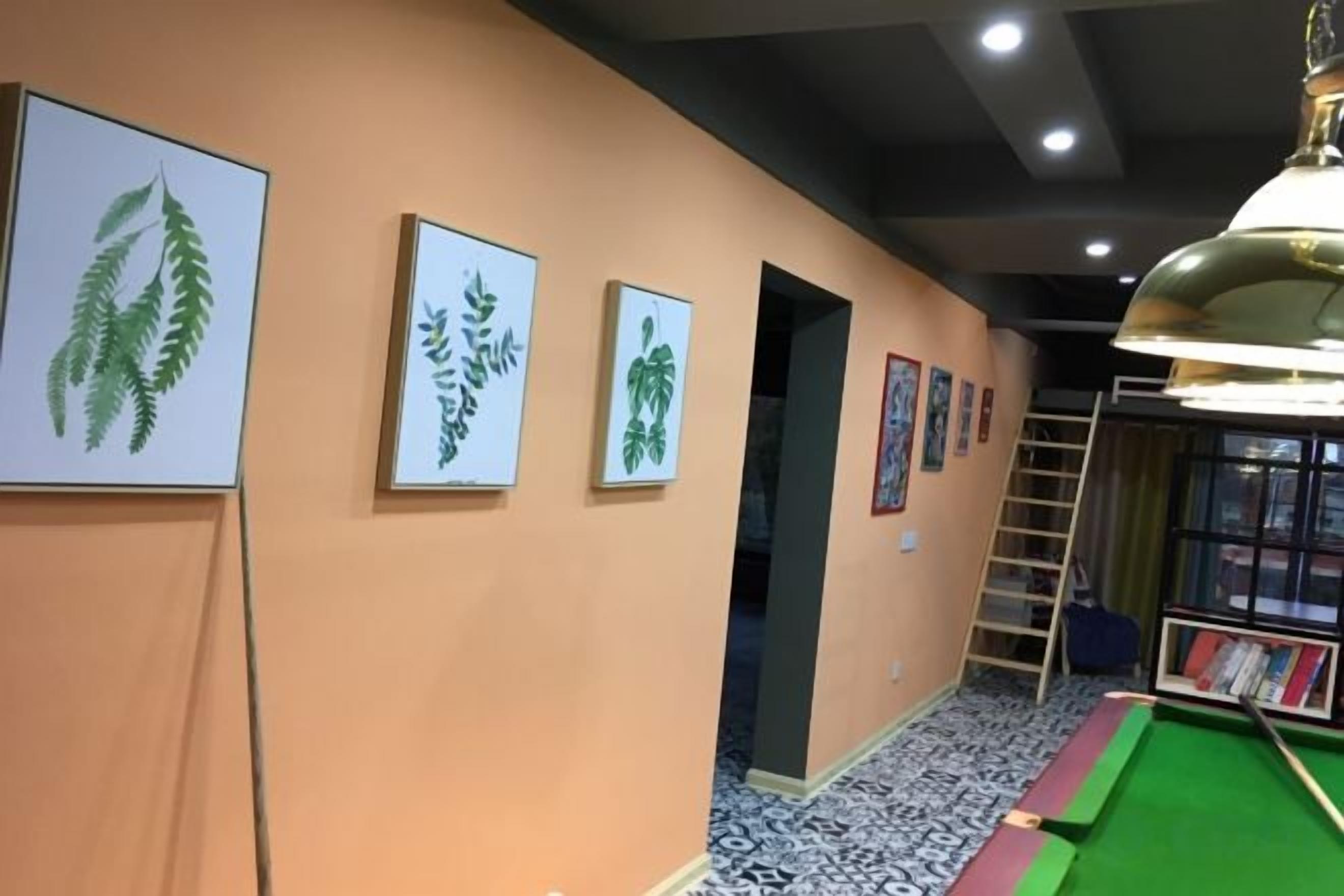 A hallway with framed botanical prints on the wall, a pool table, and a ladder leading to a door.