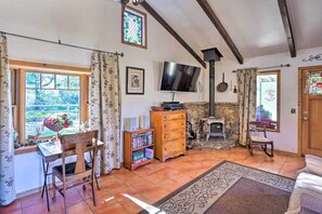 TV, fireplace, books