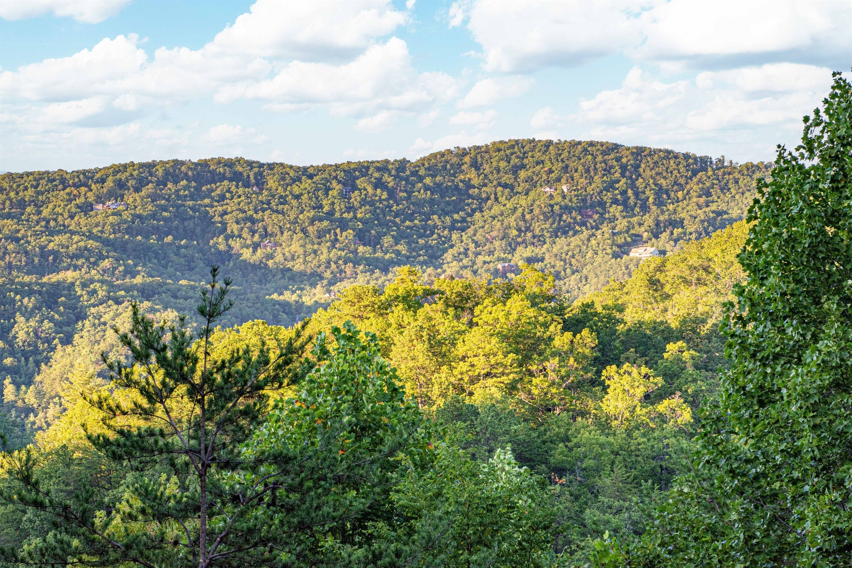 A forested mountain landscape with dense tree coverage and a clear sky.