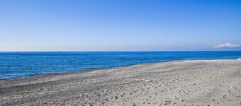 Pet friendly apartment