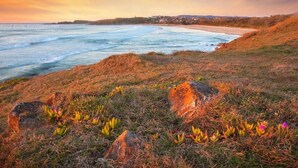 A coastal landscape with a beach, ocean, and vegetation.