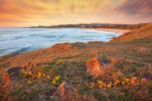 Sun-loungers, beach towels