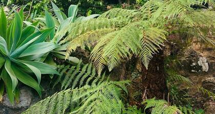Emerald Beach Eucalyptus Cottage