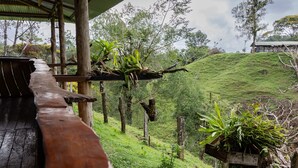 Une terrasse en bois surmontée d’un toit en métal, offrant une vue sur une colline verdoyante.