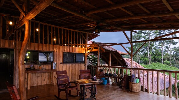 Une terrasse en bois avec une table et des chaises, un coin bar et une vue sur la forêt environnante.