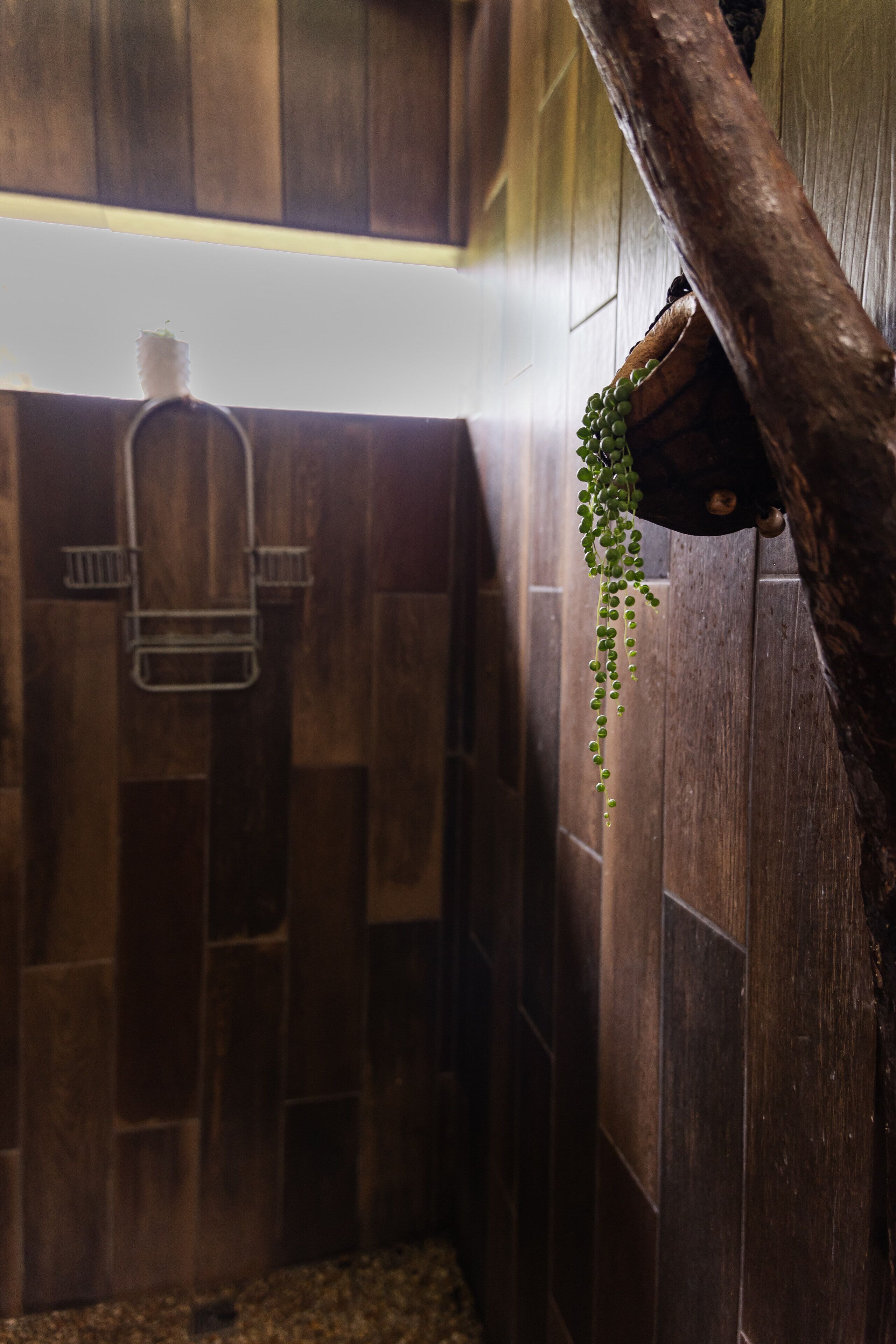 A wooden shower enclosure with a hanging plant.