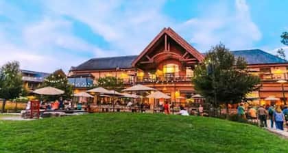 Upscale Bungalow walk less than a mile from downtown Hendersonville