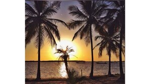 A beach scene with palm trees and a sunset over the water. - Nemasu ecolodge: breathtaking!l (Gunjur)