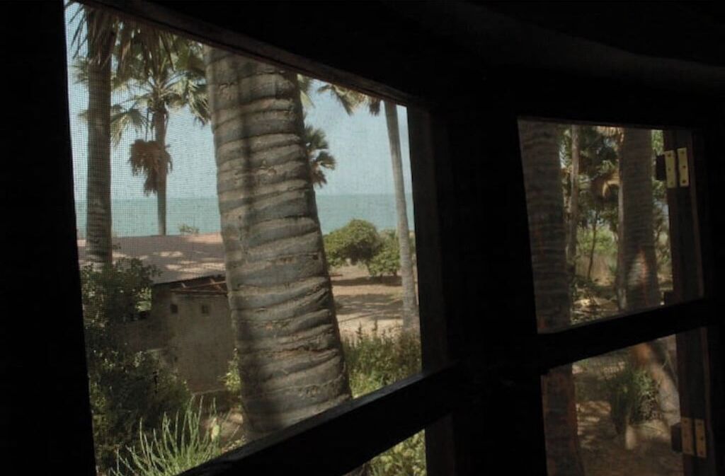 Blick aus dem Fenster auf eine tropische Landschaft mit Palmen und einem Gebäude in der Ferne.