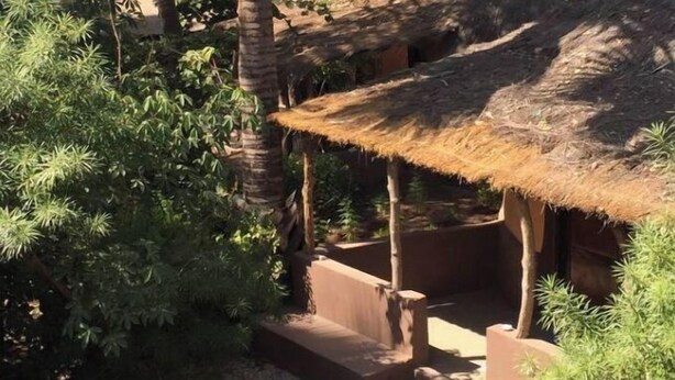 A thatched-roof structure surrounded by palm trees and greenery, likely a part of a resort or hotel. - Nemasu ecolodge: breathtaking!l (Gunjur)