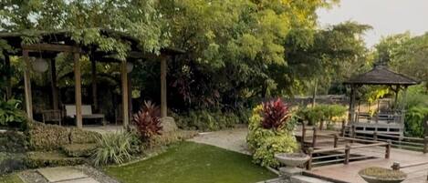 A garden with a paved walkway, a pergola, and a gazebo.